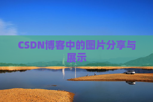 CSDN博客中的图片分享与展示